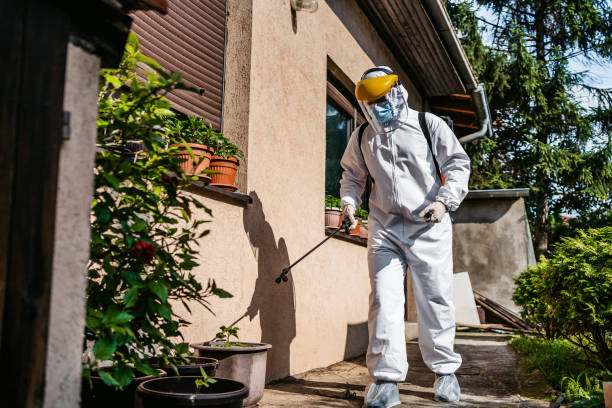 Reliable North Las Vegas, NV Pest Control Solutions