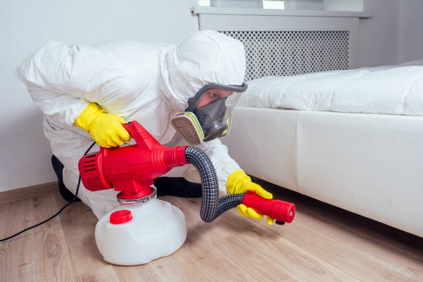 Best Affordable Pest Control Services  in North Las Vegas, NV